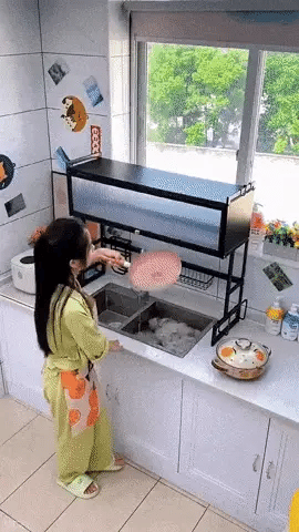 🍽️🗃️🧺 Estante Organizador para Platos con Tapa 🥣🍛