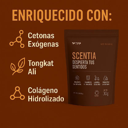 🌿☕ Café Scentia ☕🌿